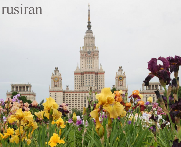 تحصیل در روسیه,رشته دندانپزشکی در روسیه